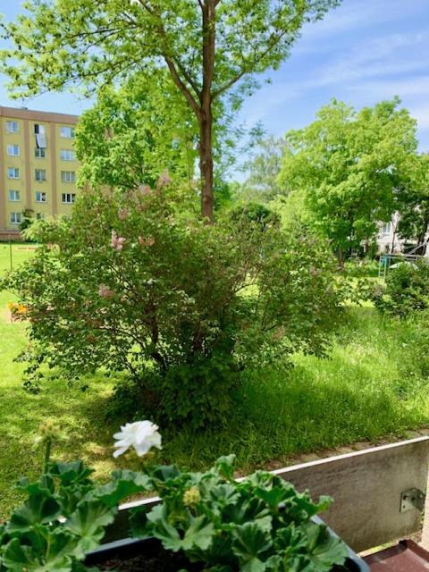 Apartman Snyt Primka Olomouc Exterior photo